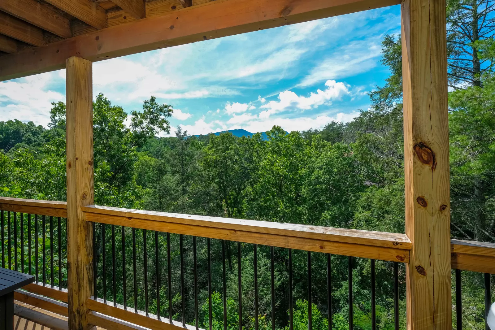 Bearadise Mountain Lodge mountain views