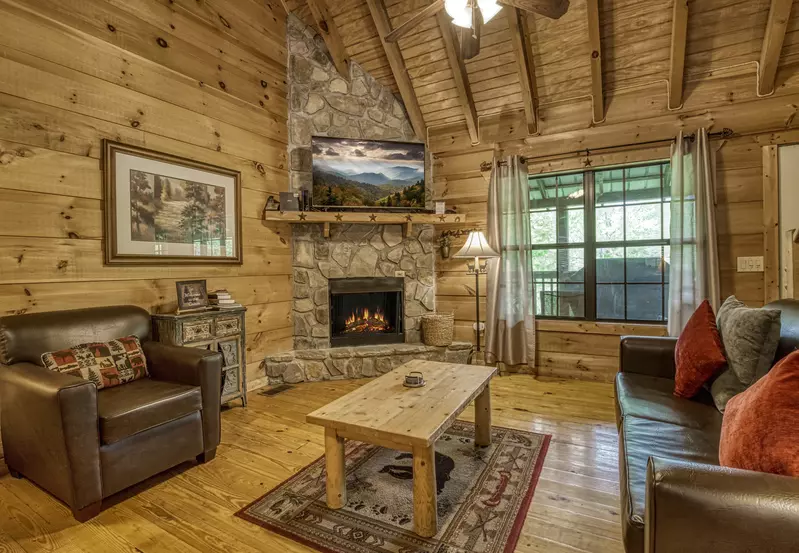 Beary Beary Special - Living room with stone encased gas fireplace