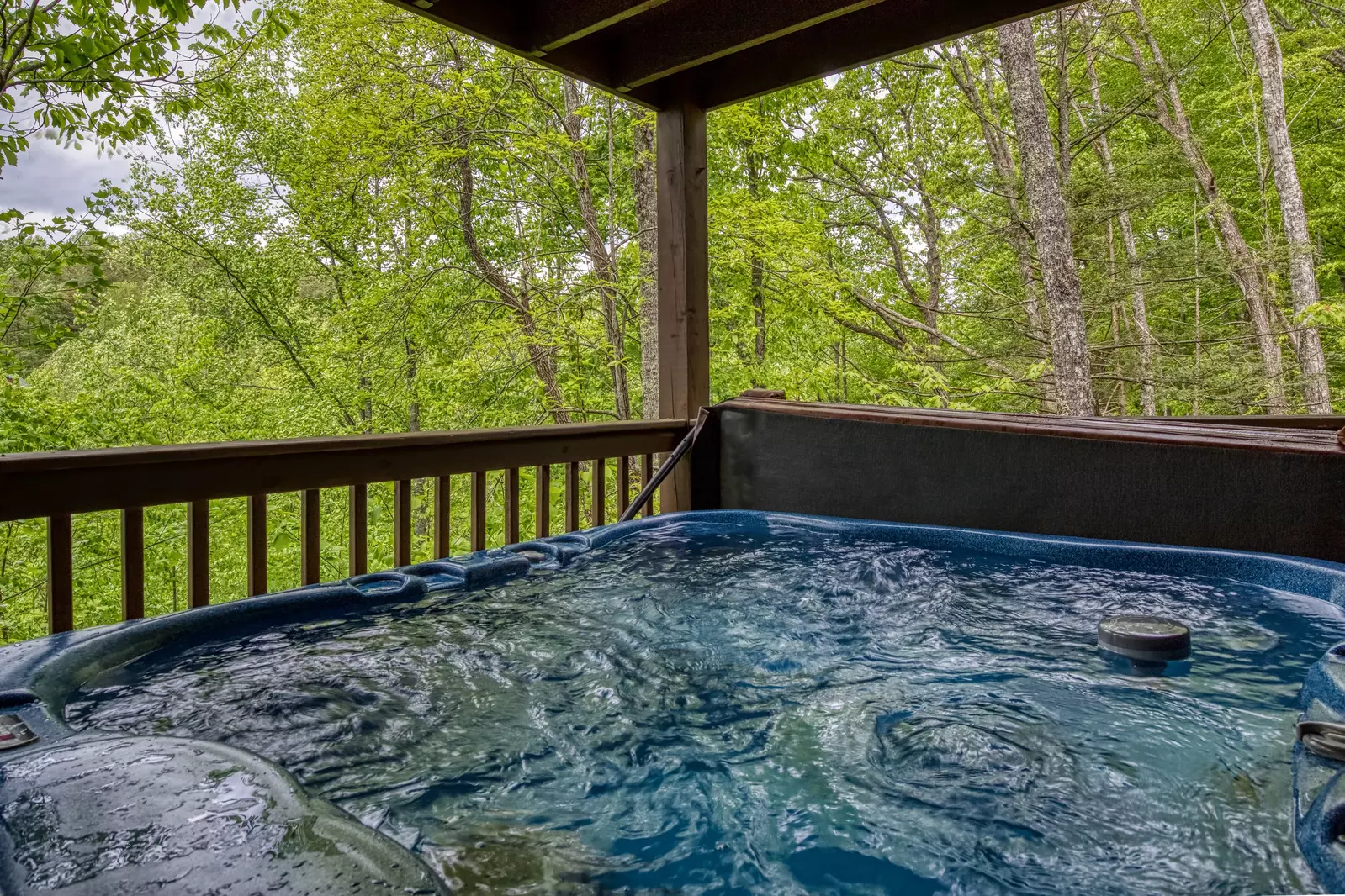 Beary Beary Special hot tub