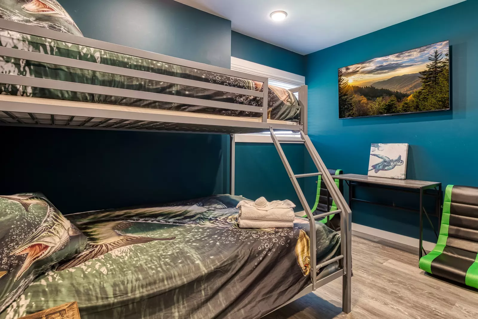 Lake View Therapy lower level bedroom with 55 inch TV