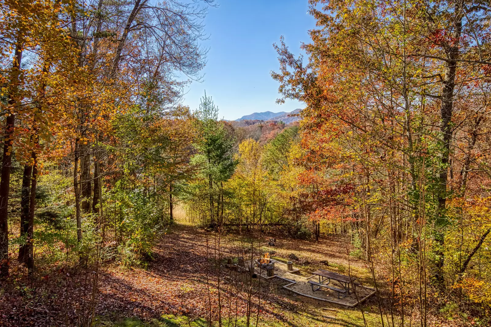 Mountain Magic back yard in fall