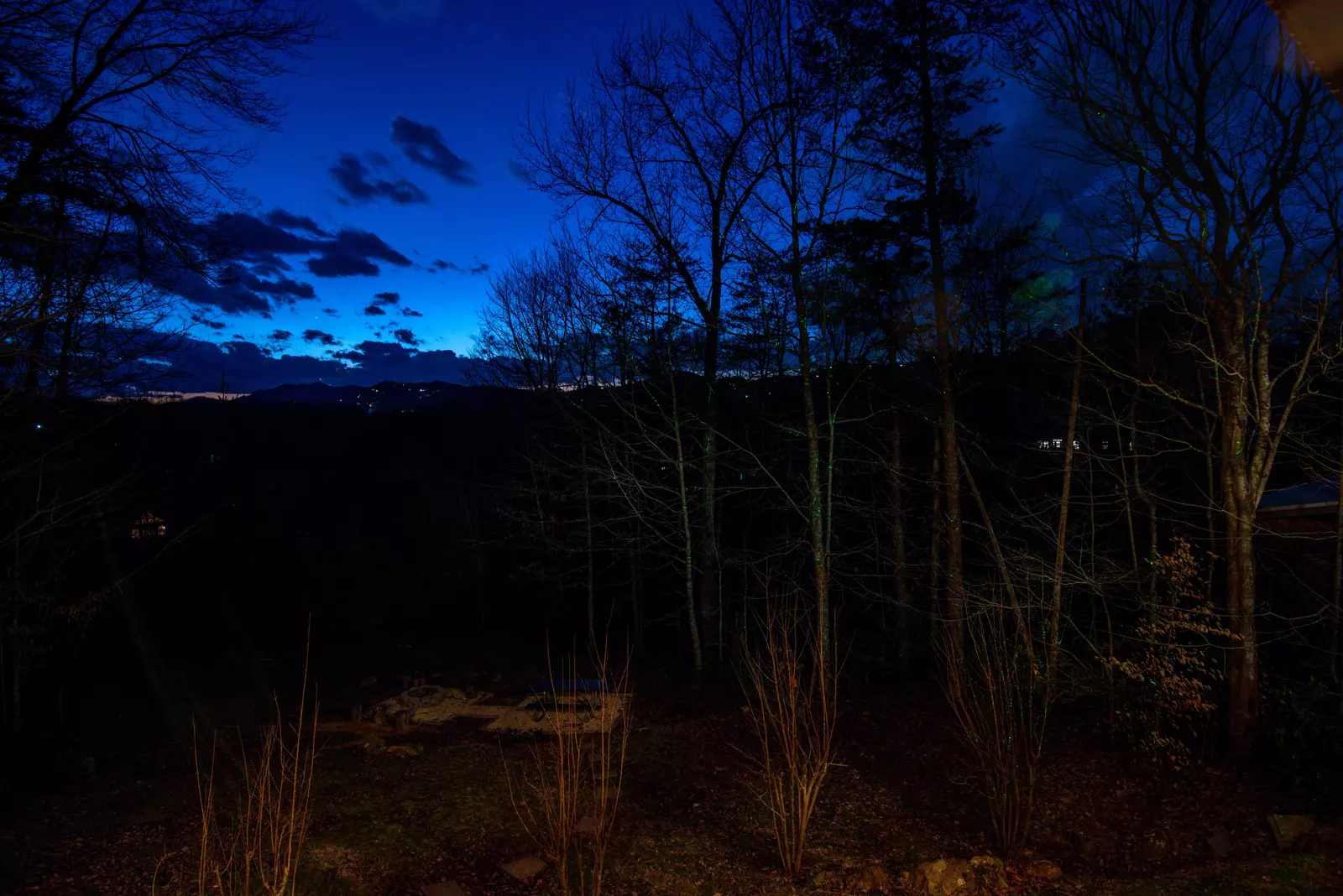 Mountain Magic twinkling lights in trees at night
