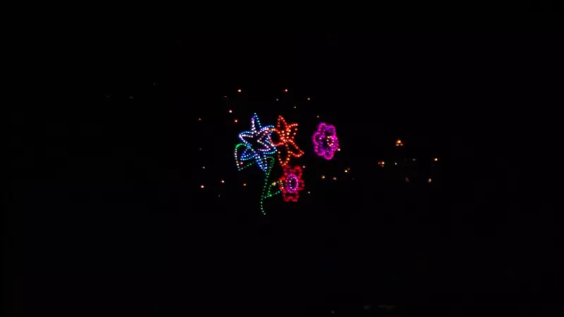 View of Dollywood's Seasonal Drone and Fireworks Show 