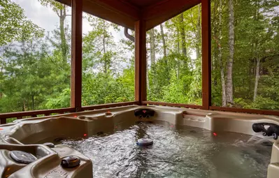 Pleasant View hot tub