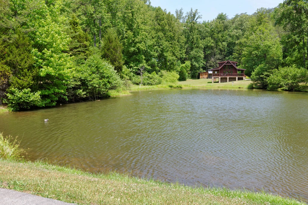 Laughing Pines catch and release year round fishing pond