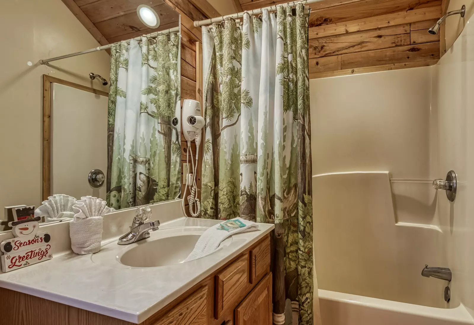 Tennessee Twilight Cabin upper level bathroom with tub/shower combo