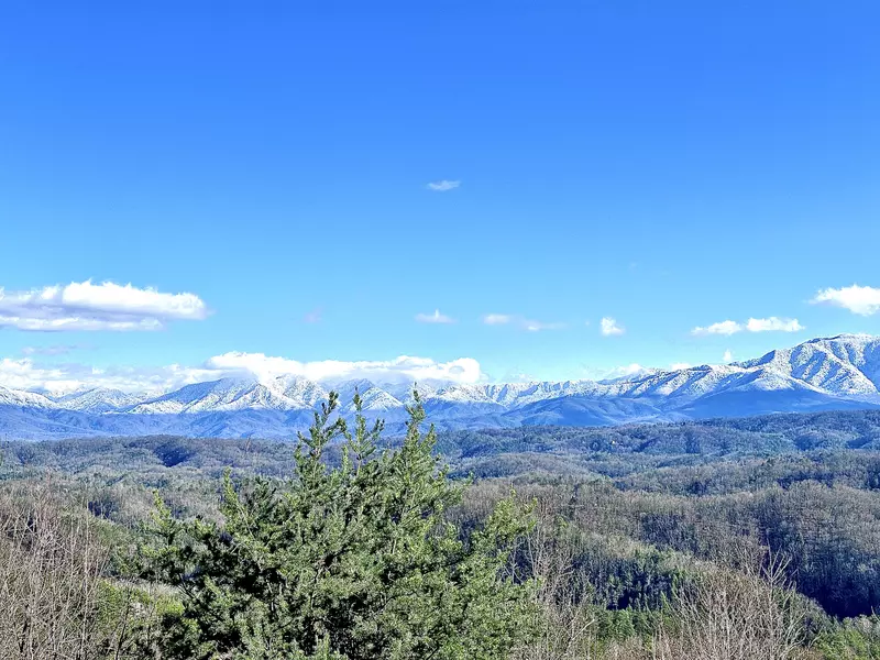 Front porch views! 