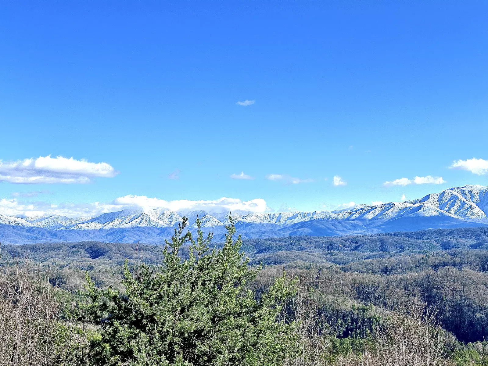 Front porch views! 