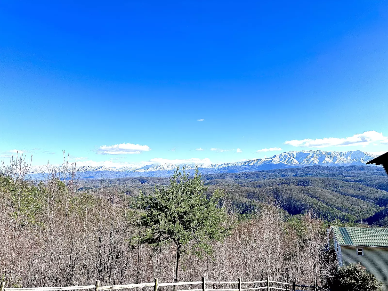 Front porch views! 