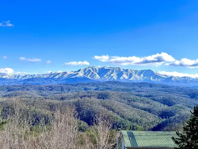 Skyview