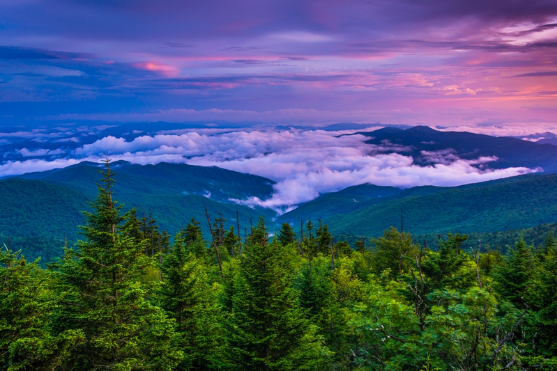 Visit My Smokies Blog Default Feature Image
