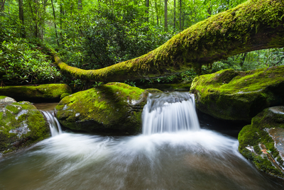 roaring fork in the smoky mountains