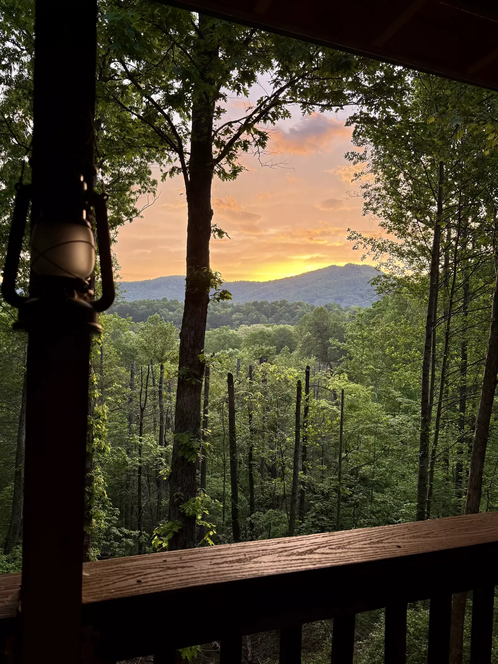 Heavenly Daze and Nights