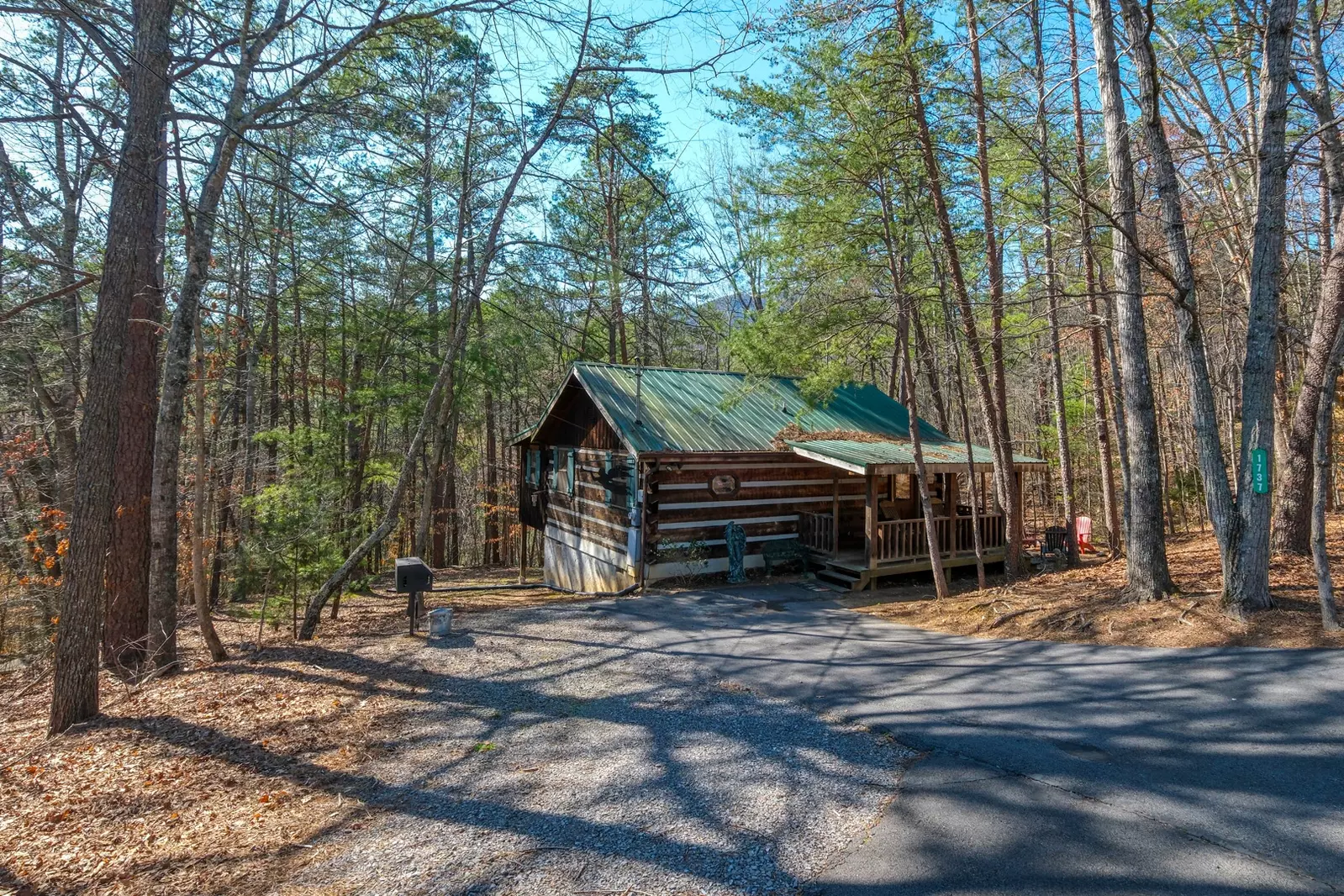 Heaven in the Pines