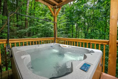The Tree House