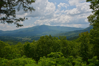 Wears Valley TN