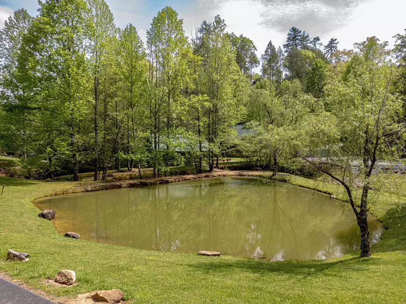 Bring your fishing gear to the catch and release pond in the resort