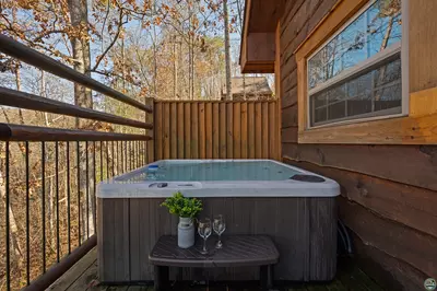 Hazy Bear Treehouse #3