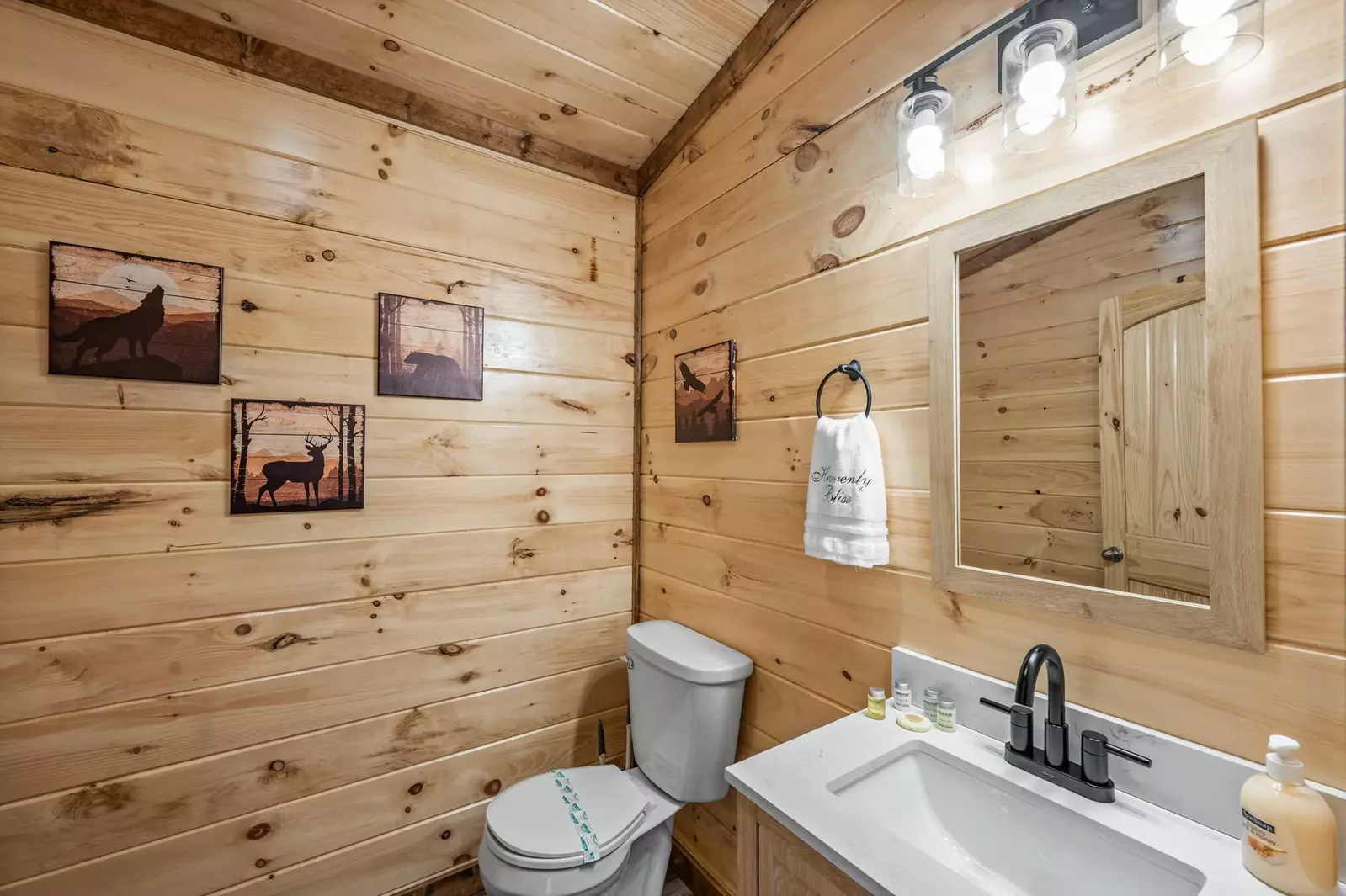 Upstairs loft half bath