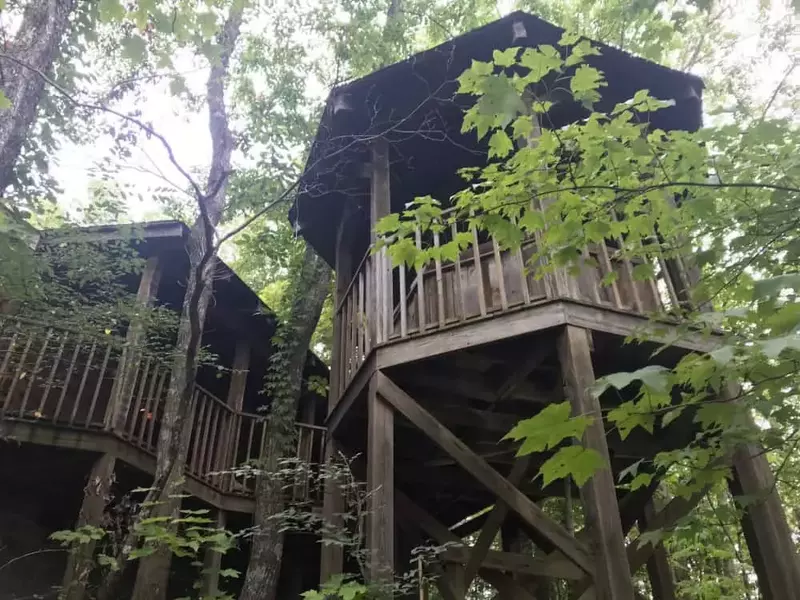 Gatlinburg Family Adventure Cabin - Mountain Laurel