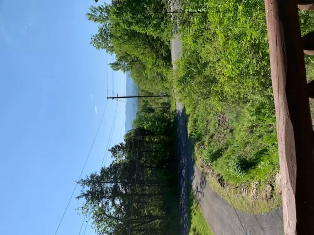 Long Horn Lodge