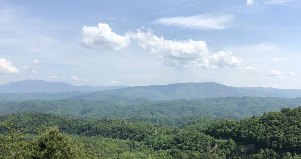 Look at that view