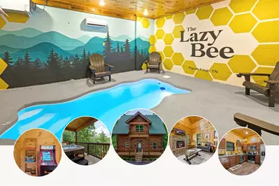 The Lazy Bee