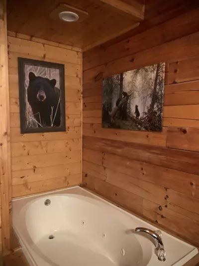 Master Bedroom Jetted tub