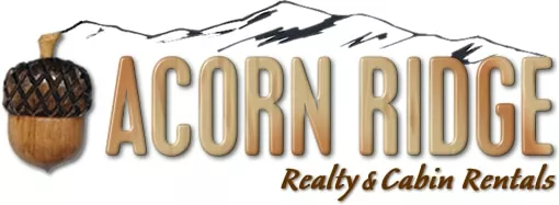 618_acorn_logo-copy