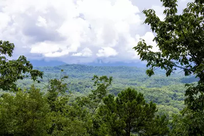 Smokin' View