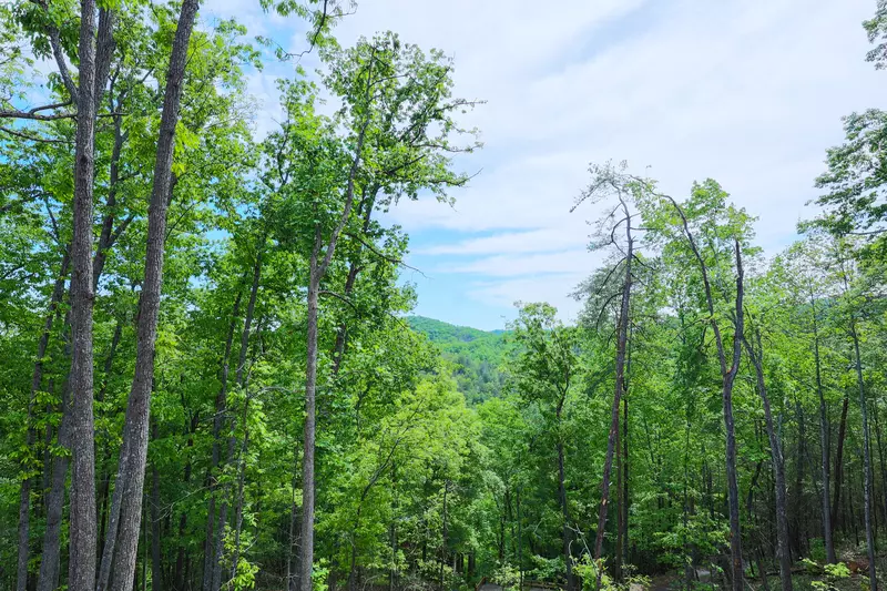Bear Mountain