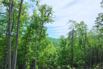 Bear Mountain