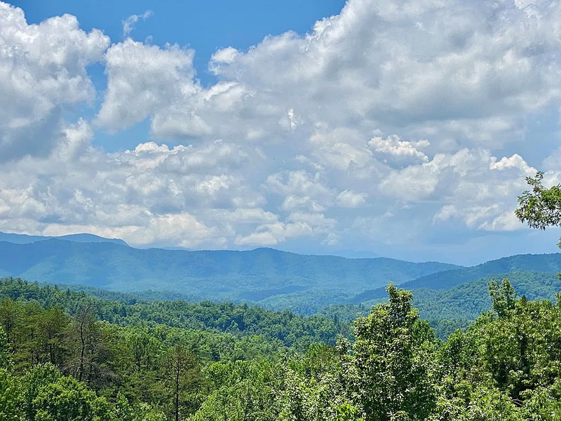 Take in this view from the middle of the porch.