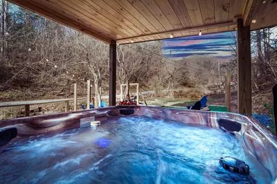 Bear Paradise Cabin