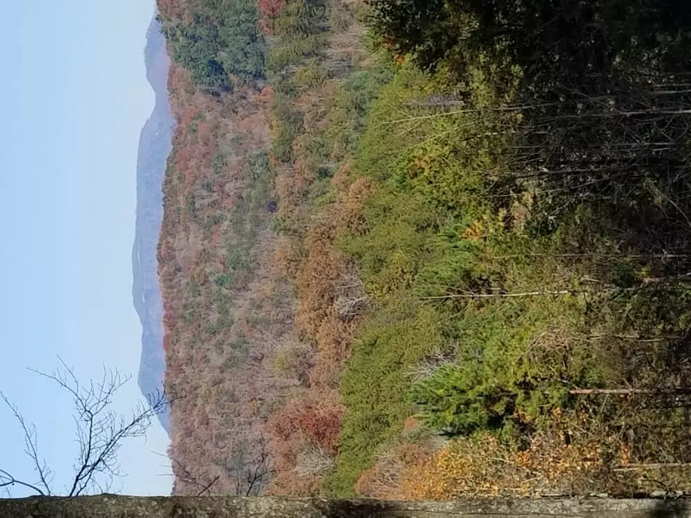 Sleepy Hollow Cabin