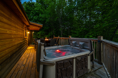 Bearadise Cabin 1