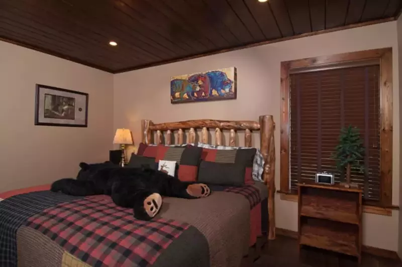 Beary Cozy