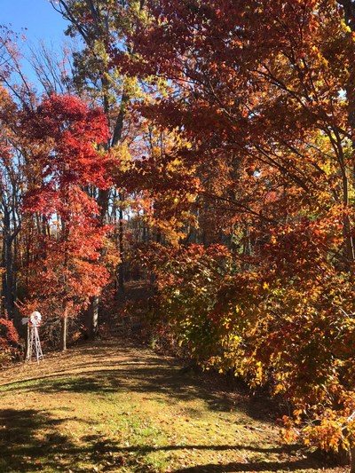 Autumn Leaves
