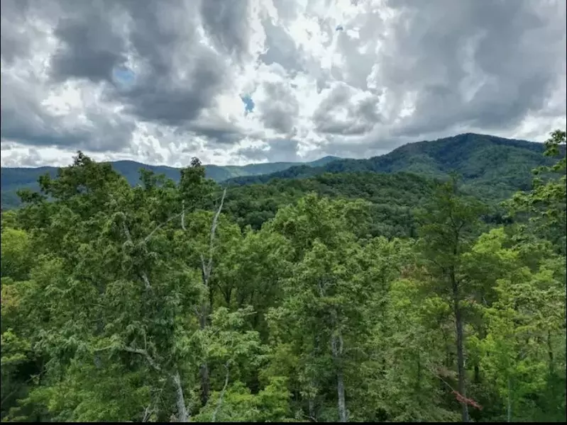 Tennessee Oasis Pool Cabin