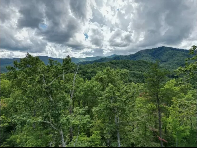 Tennessee Oasis Pool Cabin