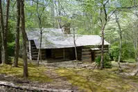 porters creek trail is one of the easy hikes in the Smoky Mountains