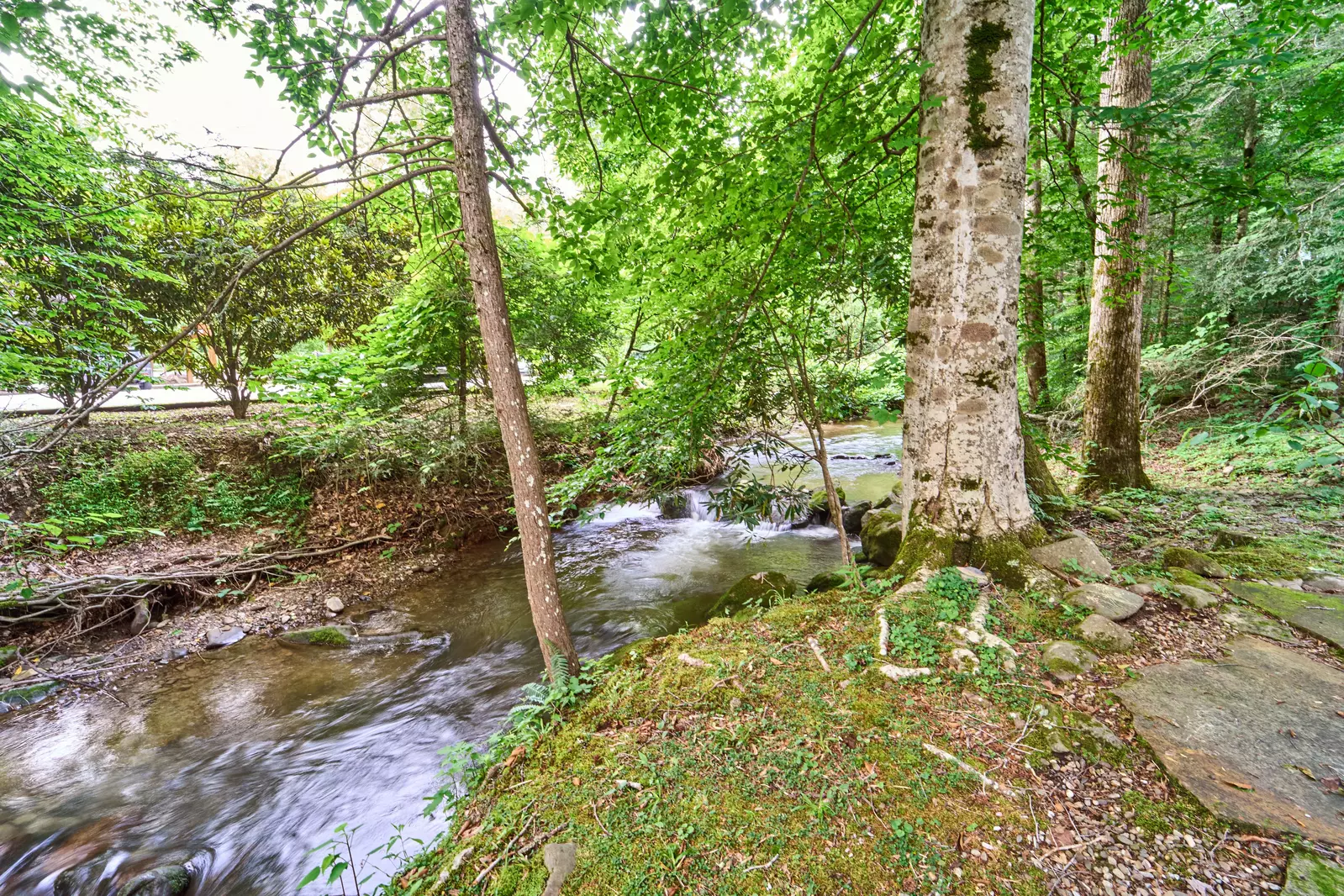 Property image, Exterior, of Scenic Creek