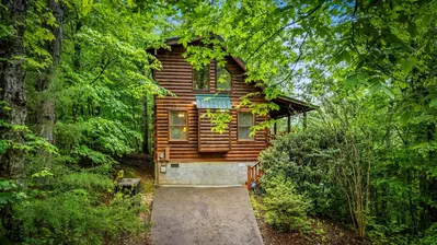Mountain Laurel Hollow