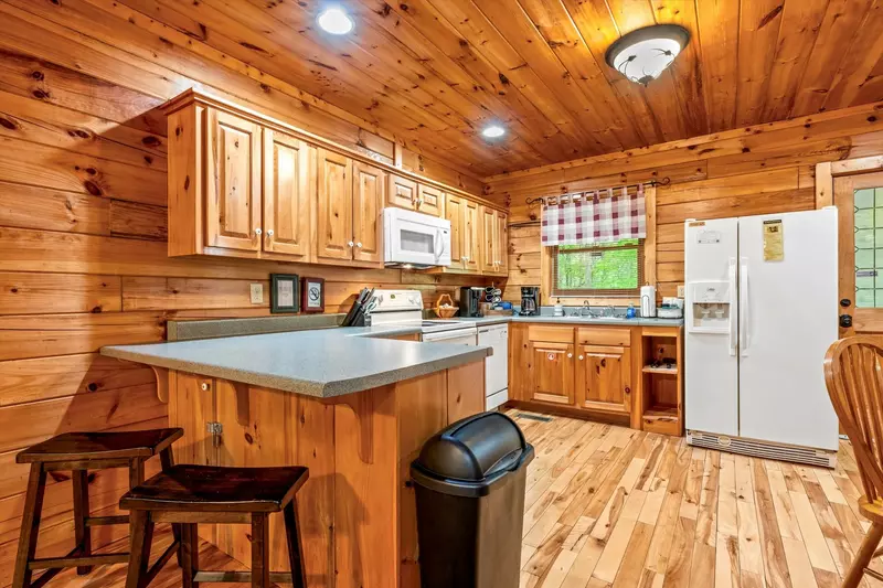 Mountain Laurel Hollow