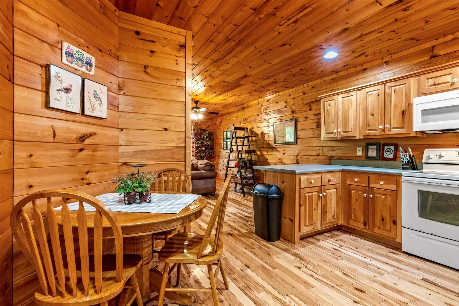 Mountain Laurel Hollow
