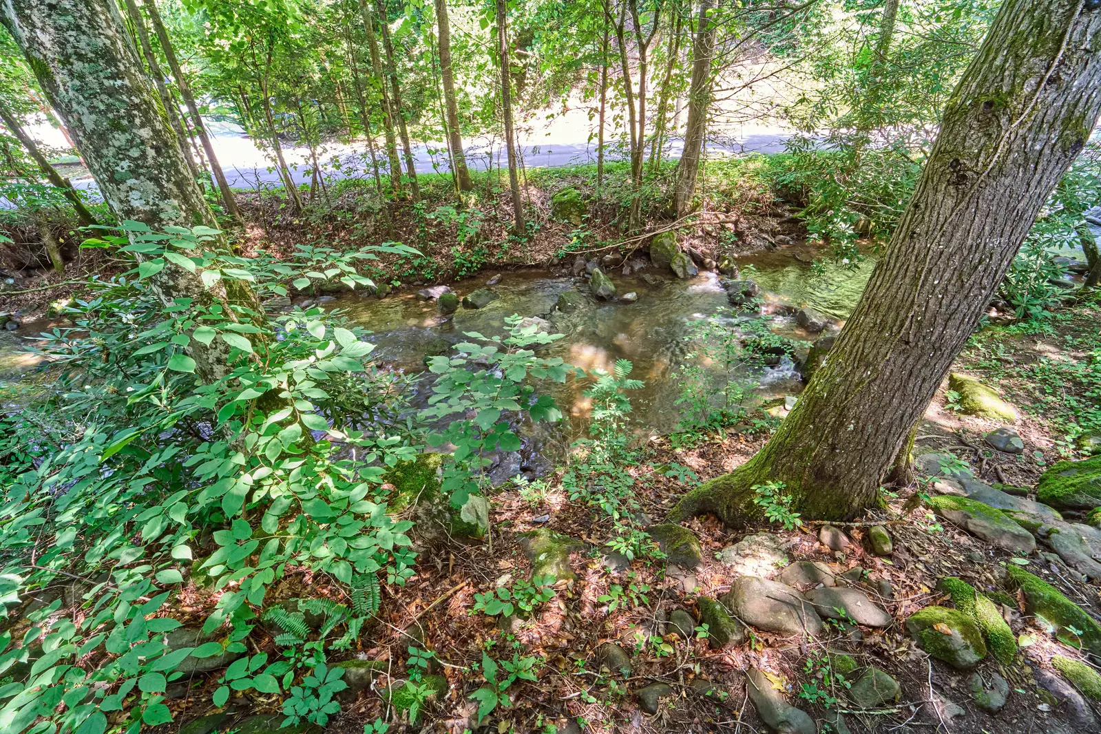 Property image, Interior, of Shady Creek
