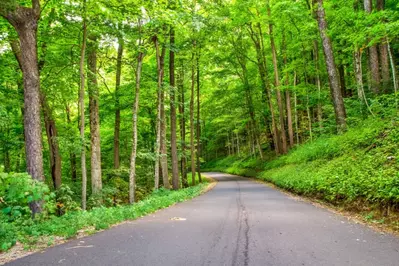 roaring fork motor nature trail is one of the top free things to do in Gatlinburg TN