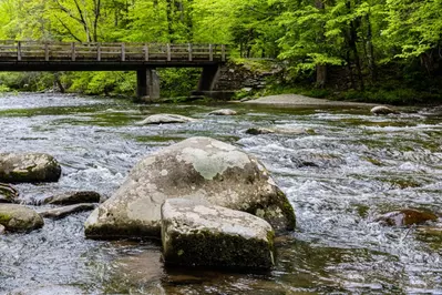 metcalf bottoms is beautiful during summer in the Smoky Mountains