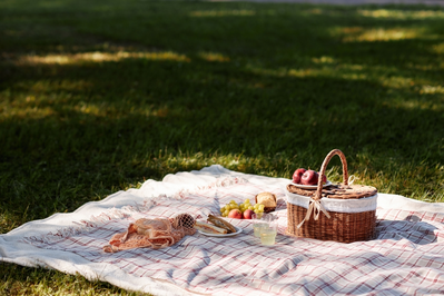 picnics are one of the top things to do in Sevierville TN for free