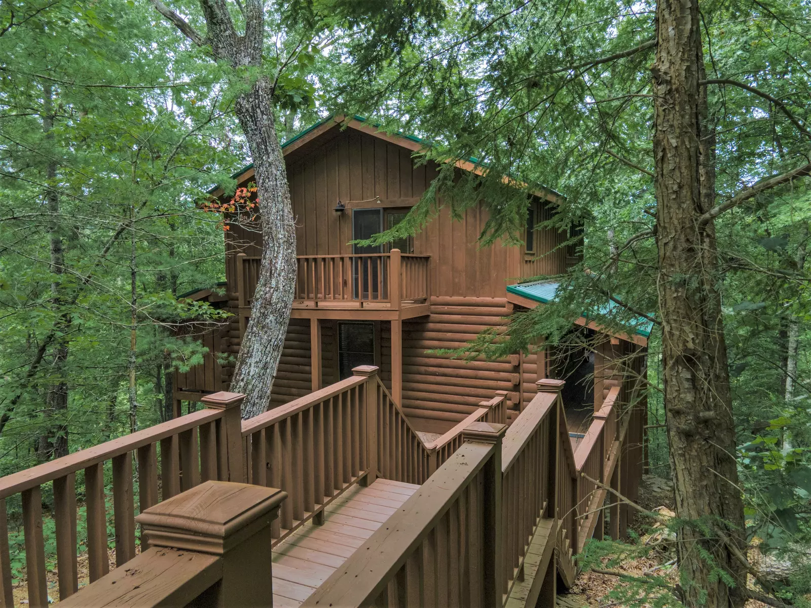 George's Treehouse